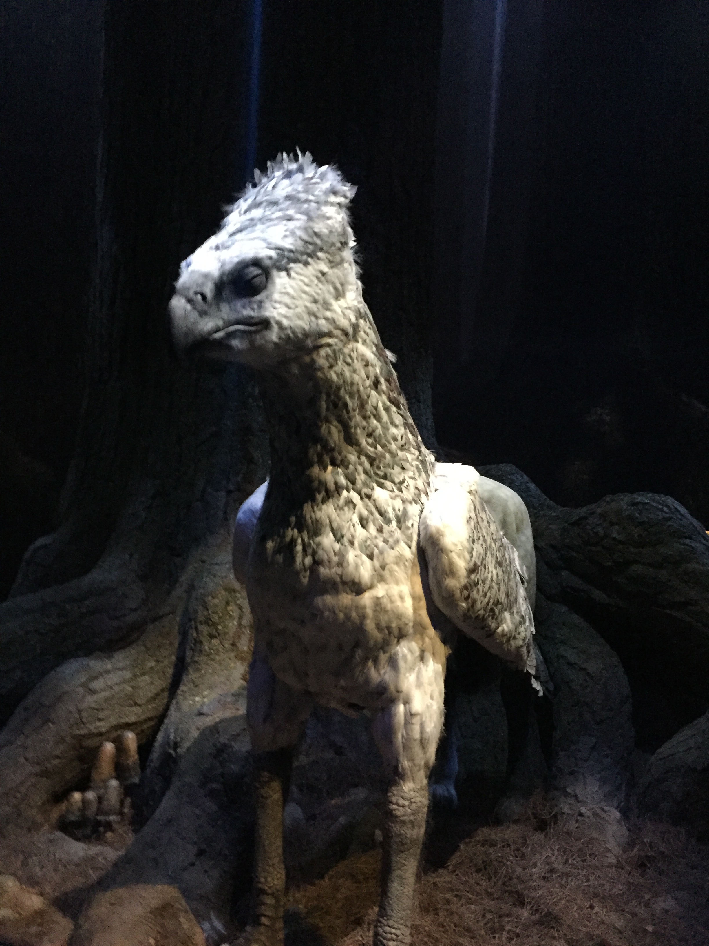 Lifesize model of Buckbeak the hippogriff from the Harry Potter films. He has the front legs, wings, and head of a giant eagle, with the body, hind legs and tail of a horse.