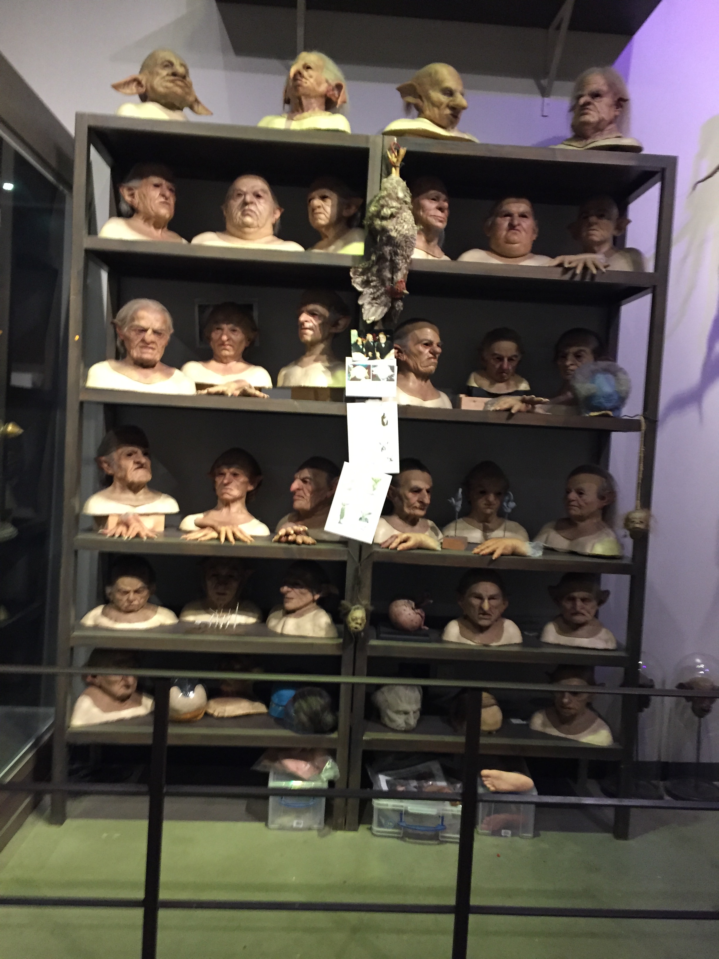 Shelves full of prosthetic model heads.