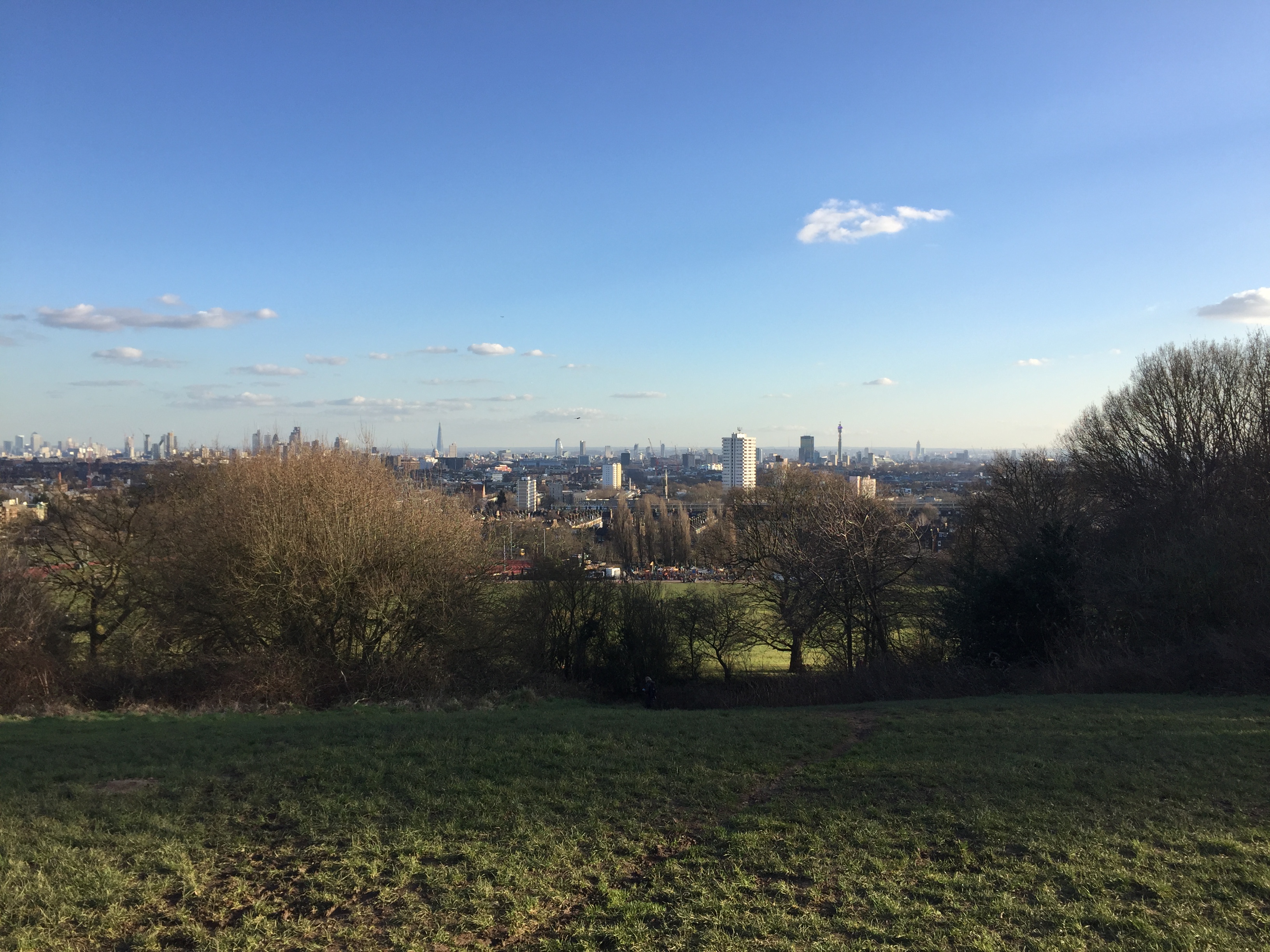 View of the London skyline from Parliament Hill in Hampstead Heath, beneath a blue sky with just a couple of wispy white clouds. In the far distance it's possible to make out the BT tower on the right, and the Shard just left of centre.