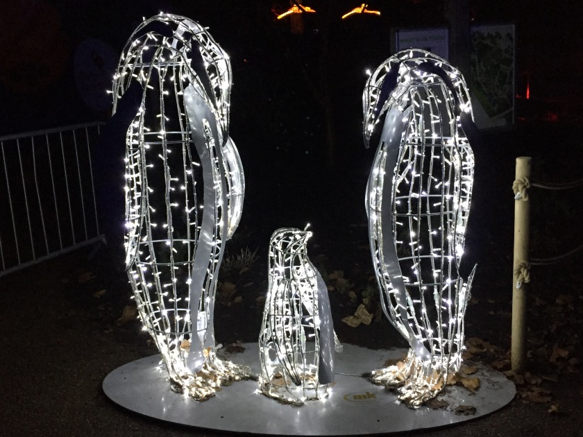 Sculptures of a penguin family, with a mother, father and baby penguin, made out of lights.