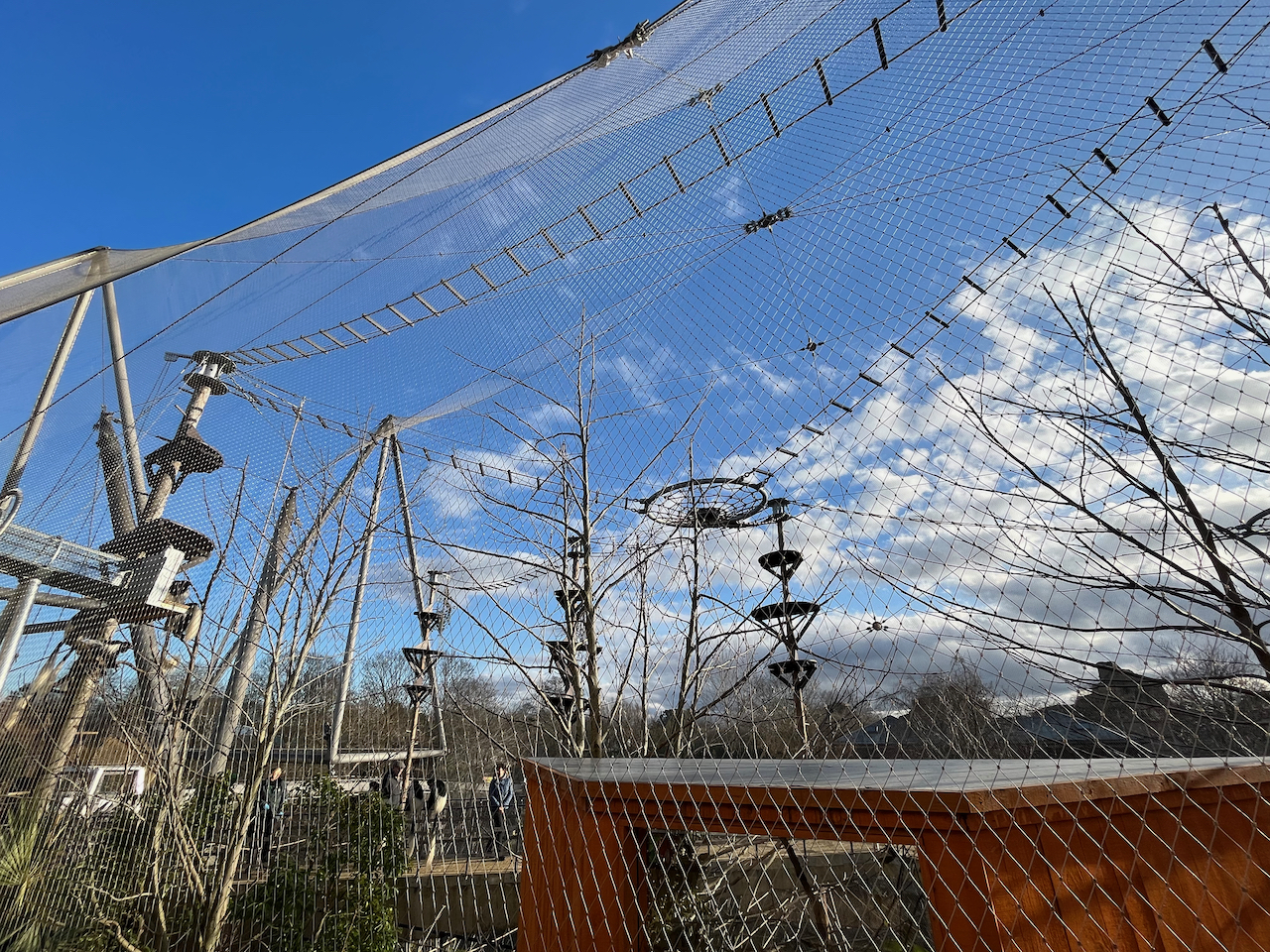 The large aviary in Monkey Valley at London Zoo. Within the mesh structure are high rope ladders, tall towers and other objects for the monkeys to swing and clamber over.